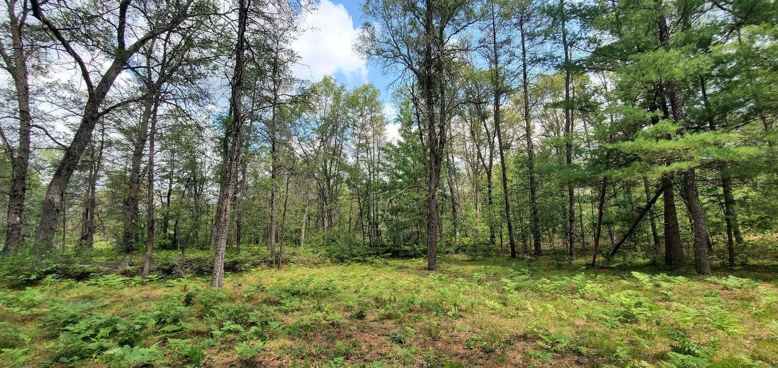 Idlewild, Lake County, MI Undeveloped Land, Homesites for sale Property