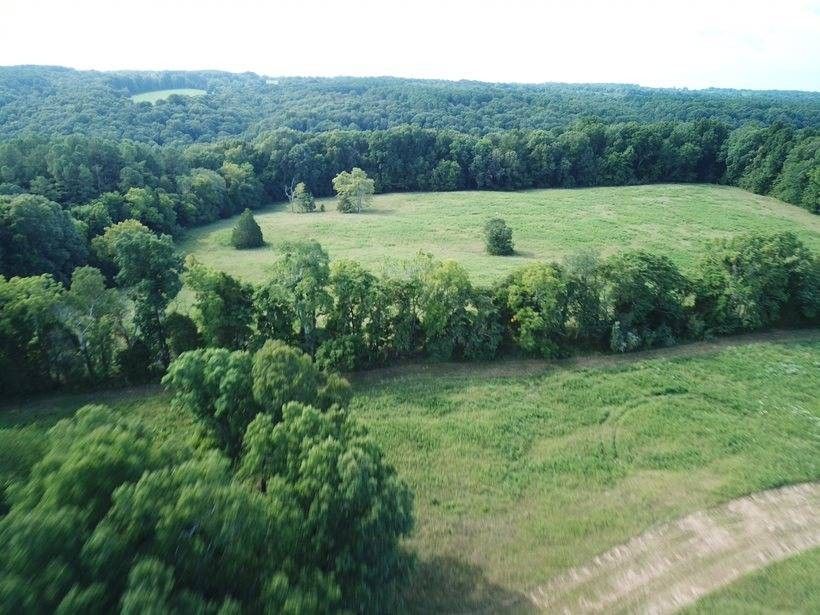 Golconda, Pope County, IL Undeveloped Land for sale Property ID