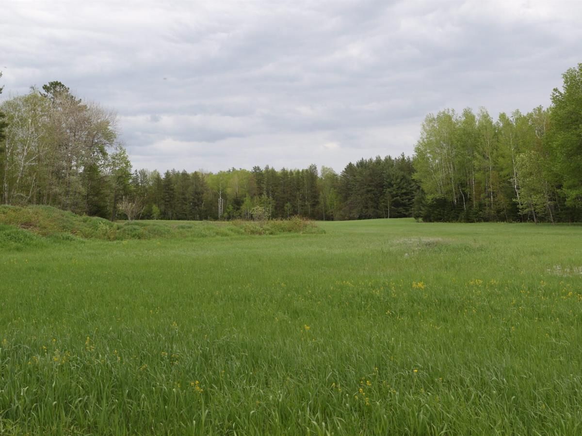 Iron Junction, Saint Louis County, MN Recreational Property for sale