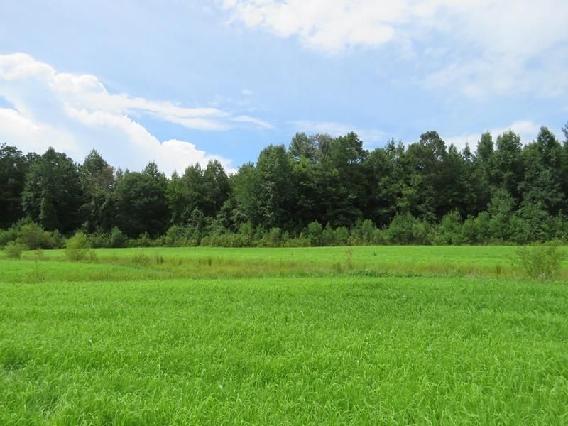 10505 Ruth Vinson Road, Autryville, NC 28318 LandWatch