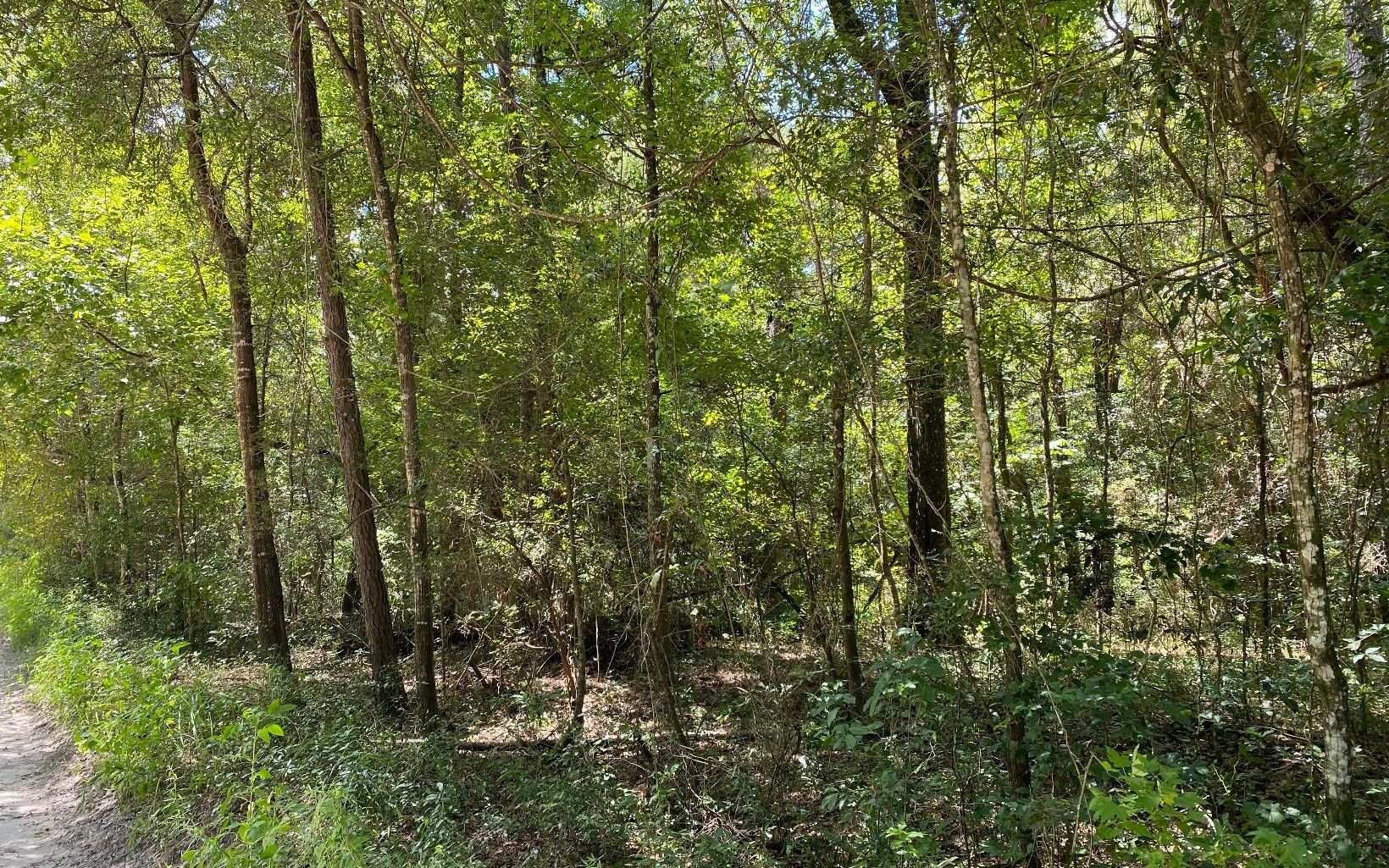 Jasper, Hamilton County, FL Homesites for sale Property ID 414477122