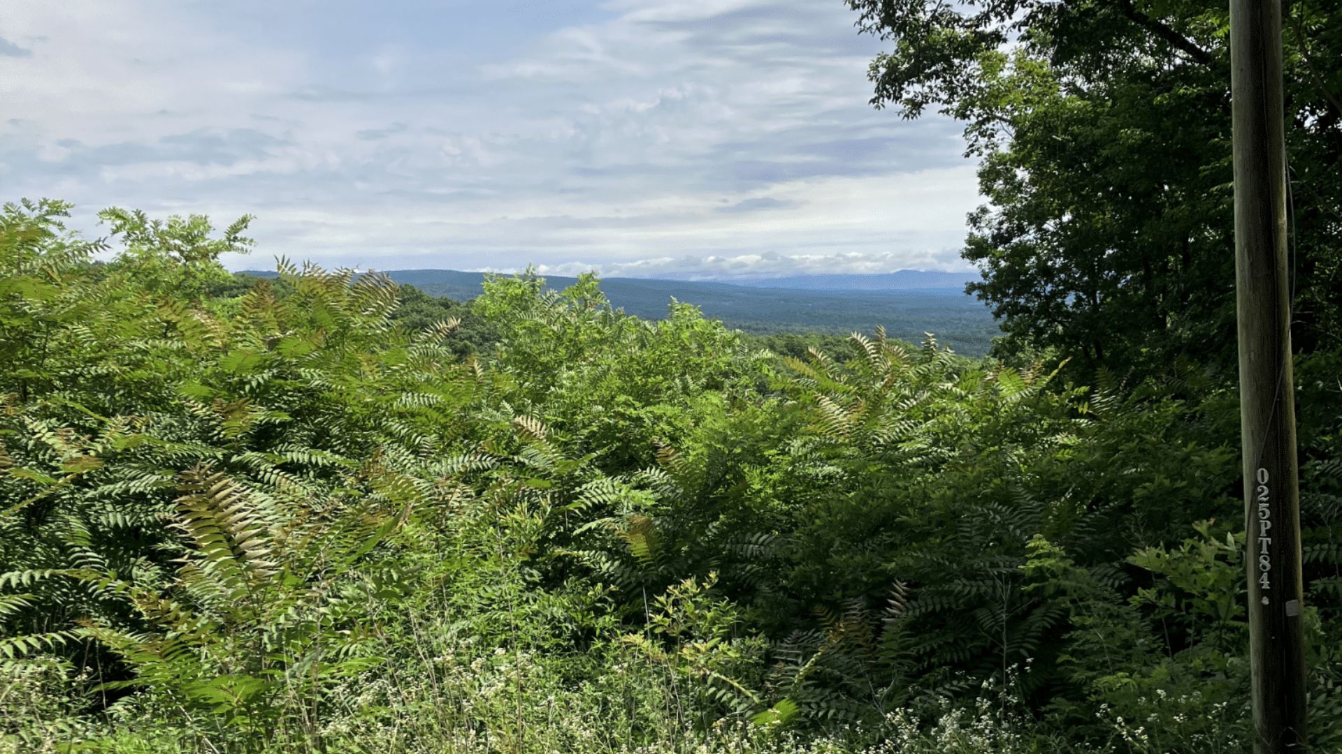 Crab Orchard, Cumberland County, TN Recreational Property, Undeveloped