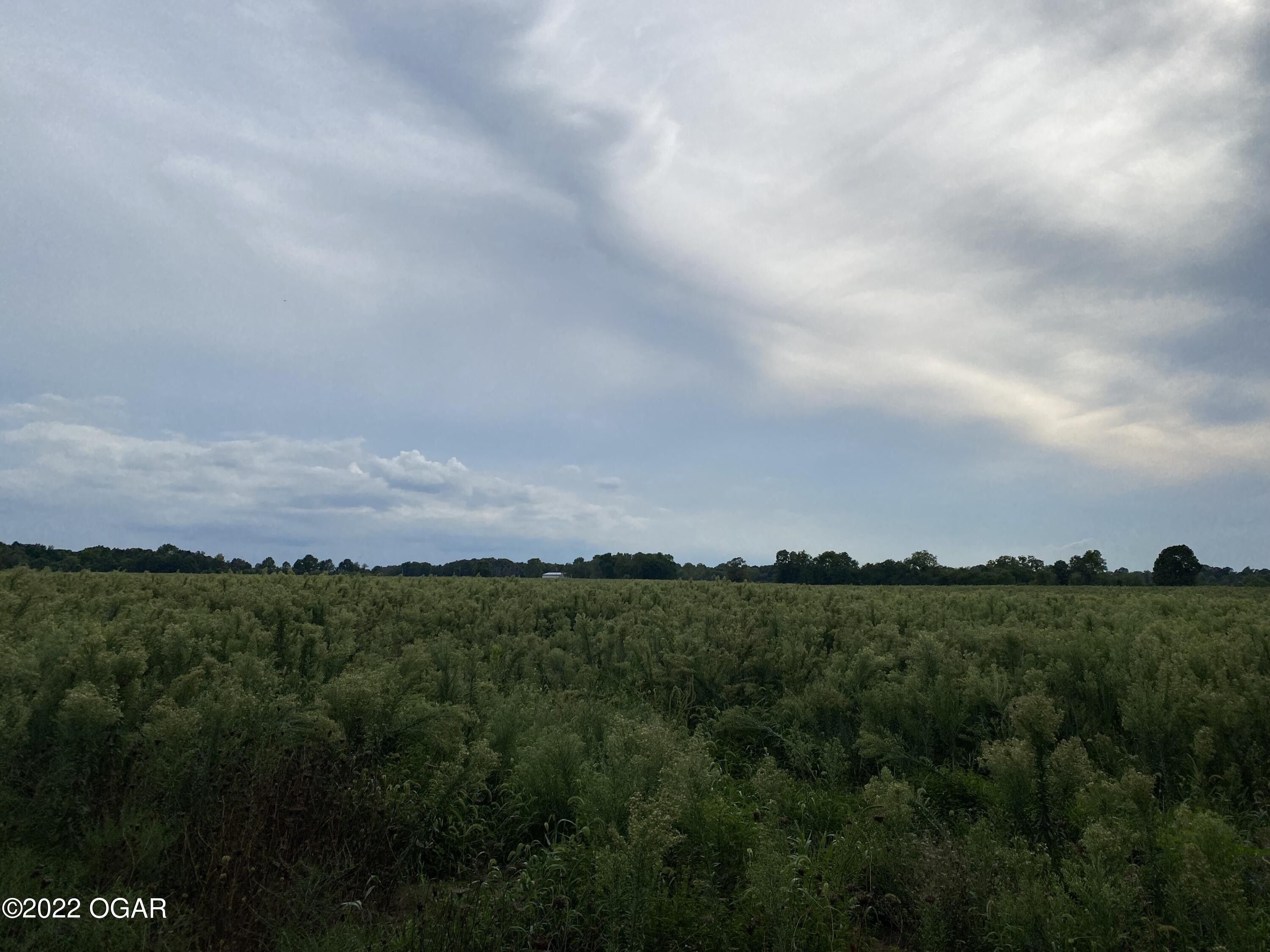Rocky Comfort, McDonald County, MO Farms and Ranches for sale Property