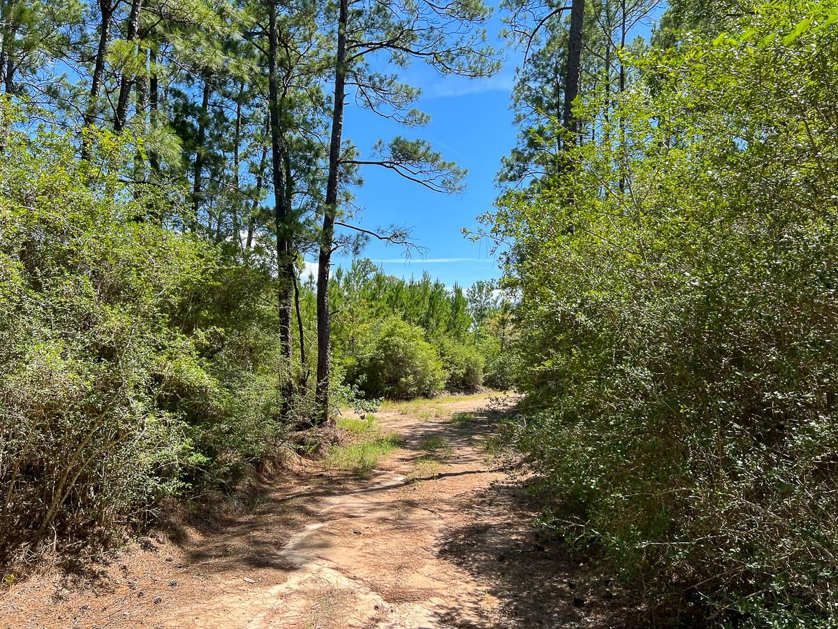 Onalaska, Polk County, TX Recreational Property, Hunting Property