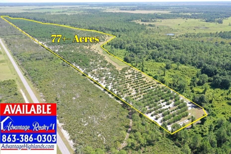 Avon Park, Highlands County, FL Farms and Ranches, Recreational