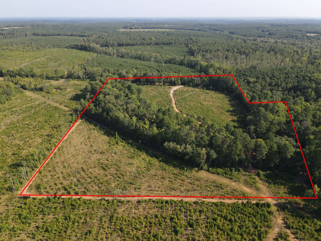 Douglassville, Cass County, TX Recreational Property, Hunting Property