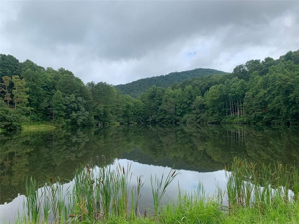 Ellijay, Gilmer County, GA Undeveloped Land for sale Property ID