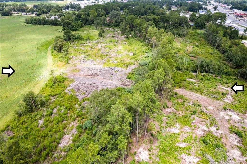 Alma, Bacon County, GA Farms and Ranches for sale Property ID