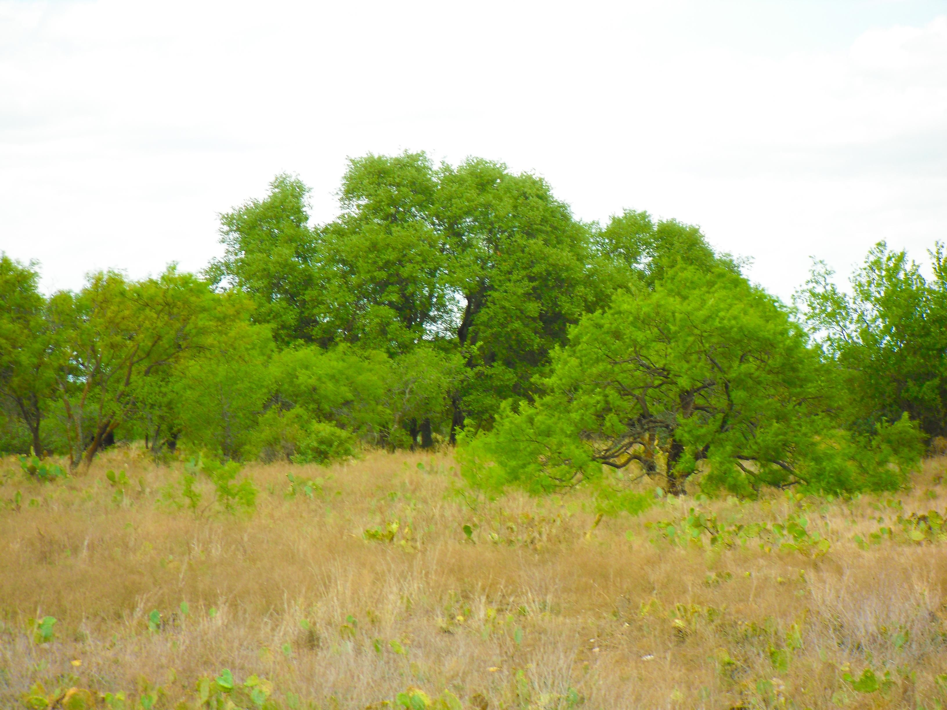 Brady, McCulloch County, TX Farms and Ranches, Recreational Property