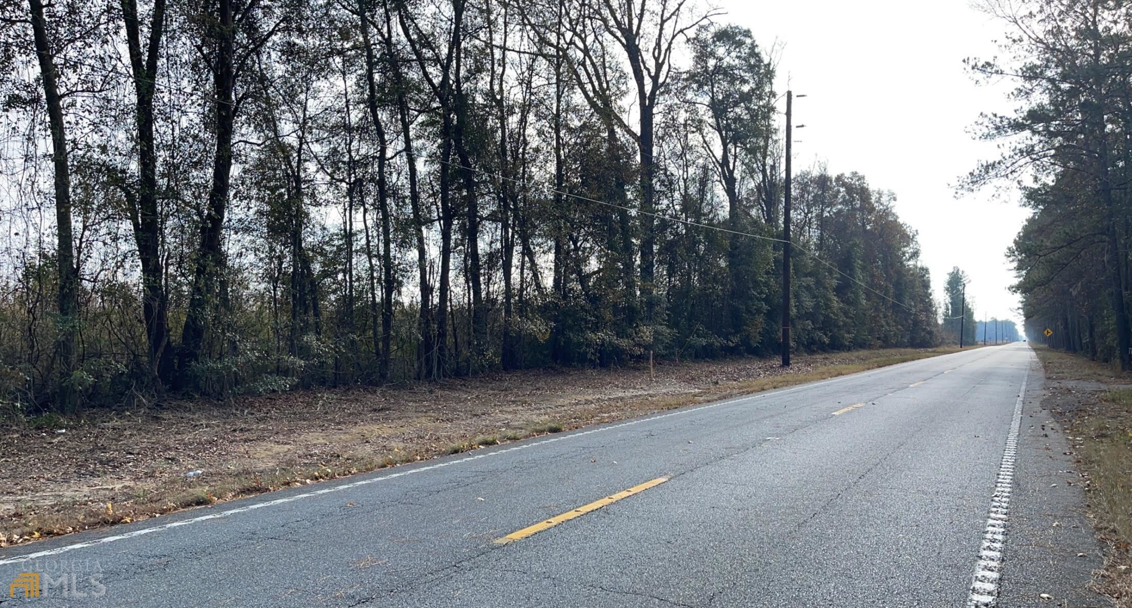 Guyton, Effingham County, GA Undeveloped Land for sale Property ID