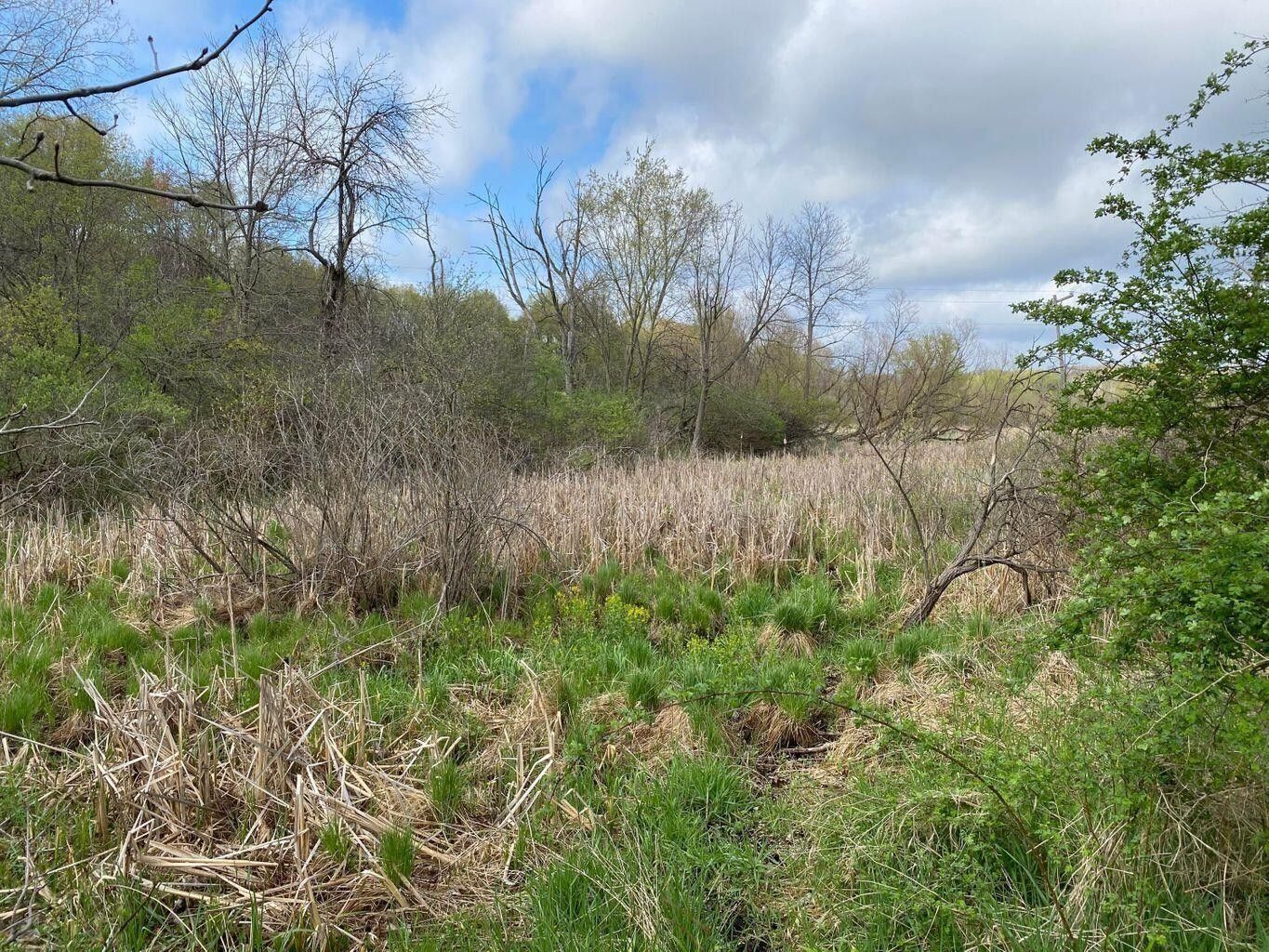 Battle Creek, Calhoun County, MI Undeveloped Land, Lakefront Property