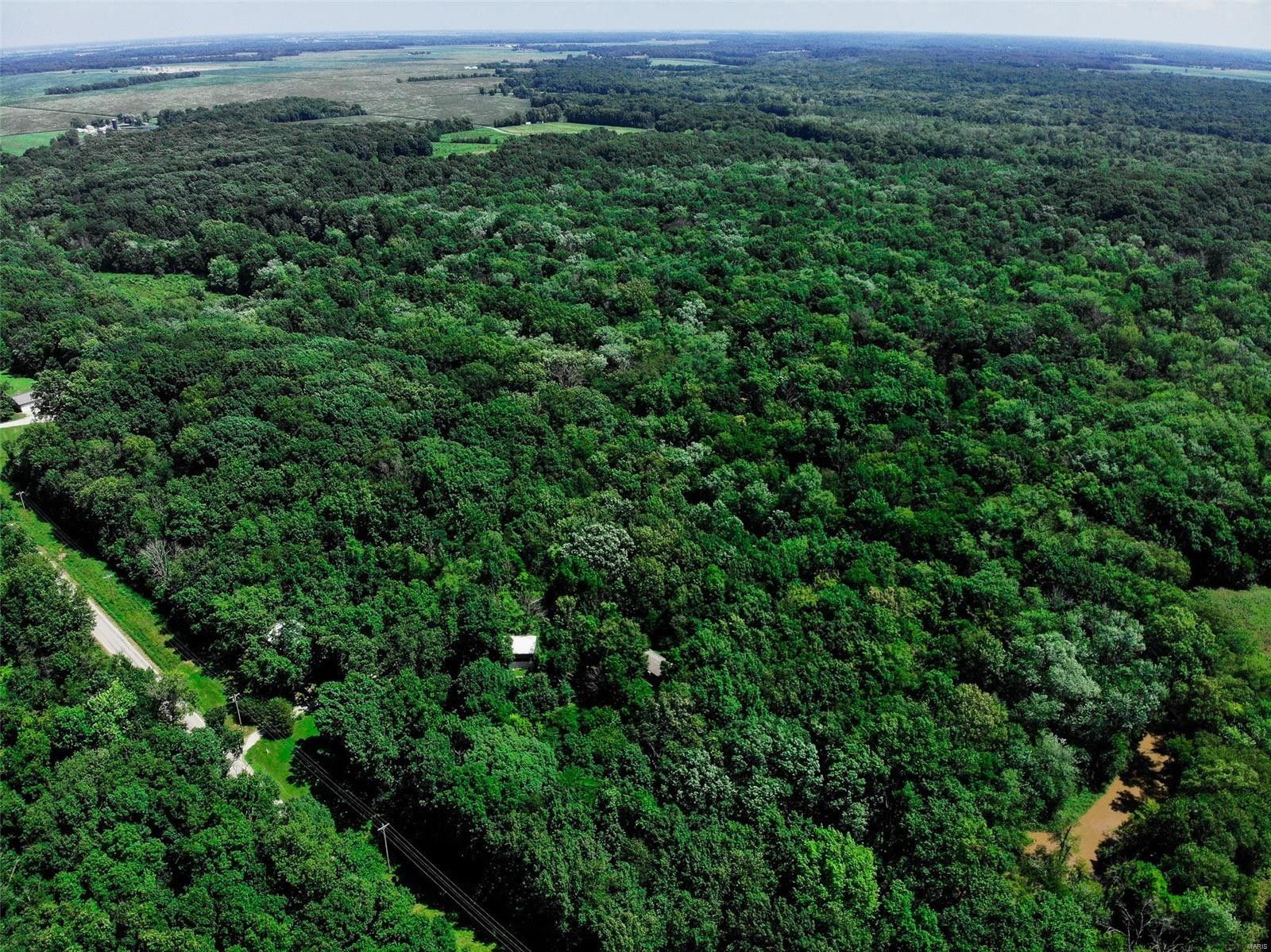 Patoka, Marion County, IL Farms and Ranches for sale Property ID