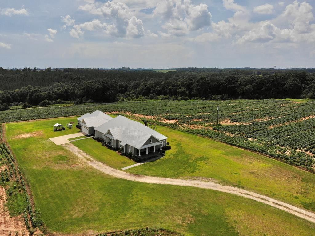 Chancellor, Geneva County, AL House for sale Property ID 414615672