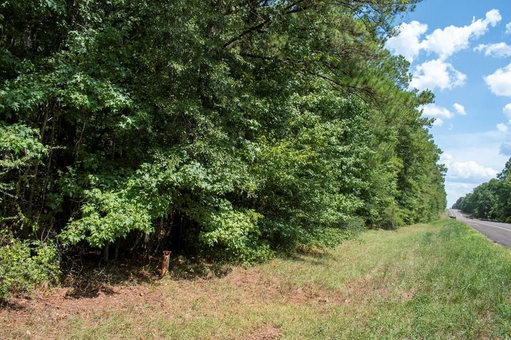 Bronson, San Augustine County, TX Undeveloped Land, Homesites for sale