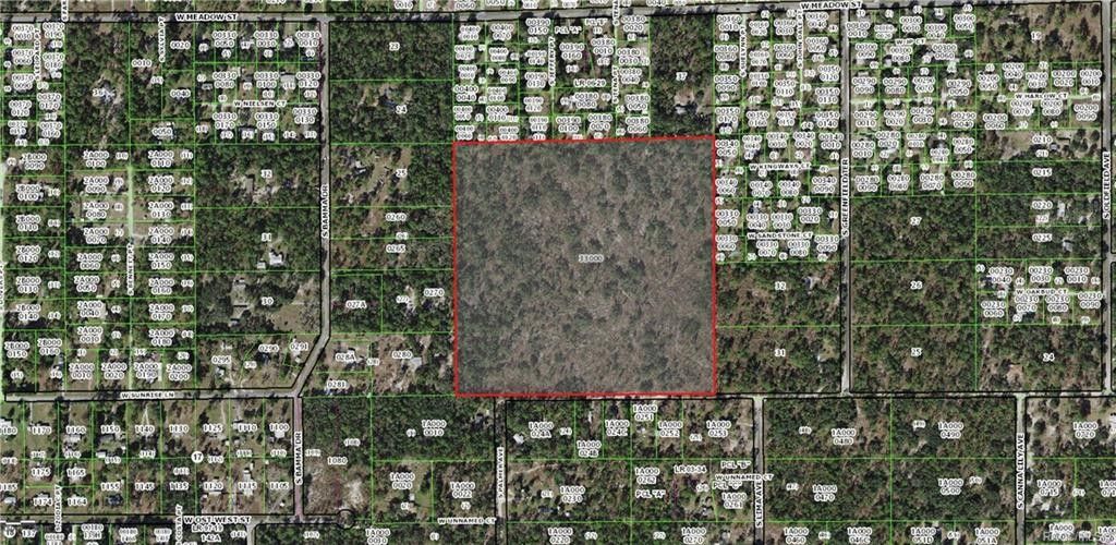 Homosassa, Citrus County, FL Undeveloped Land for sale Property ID