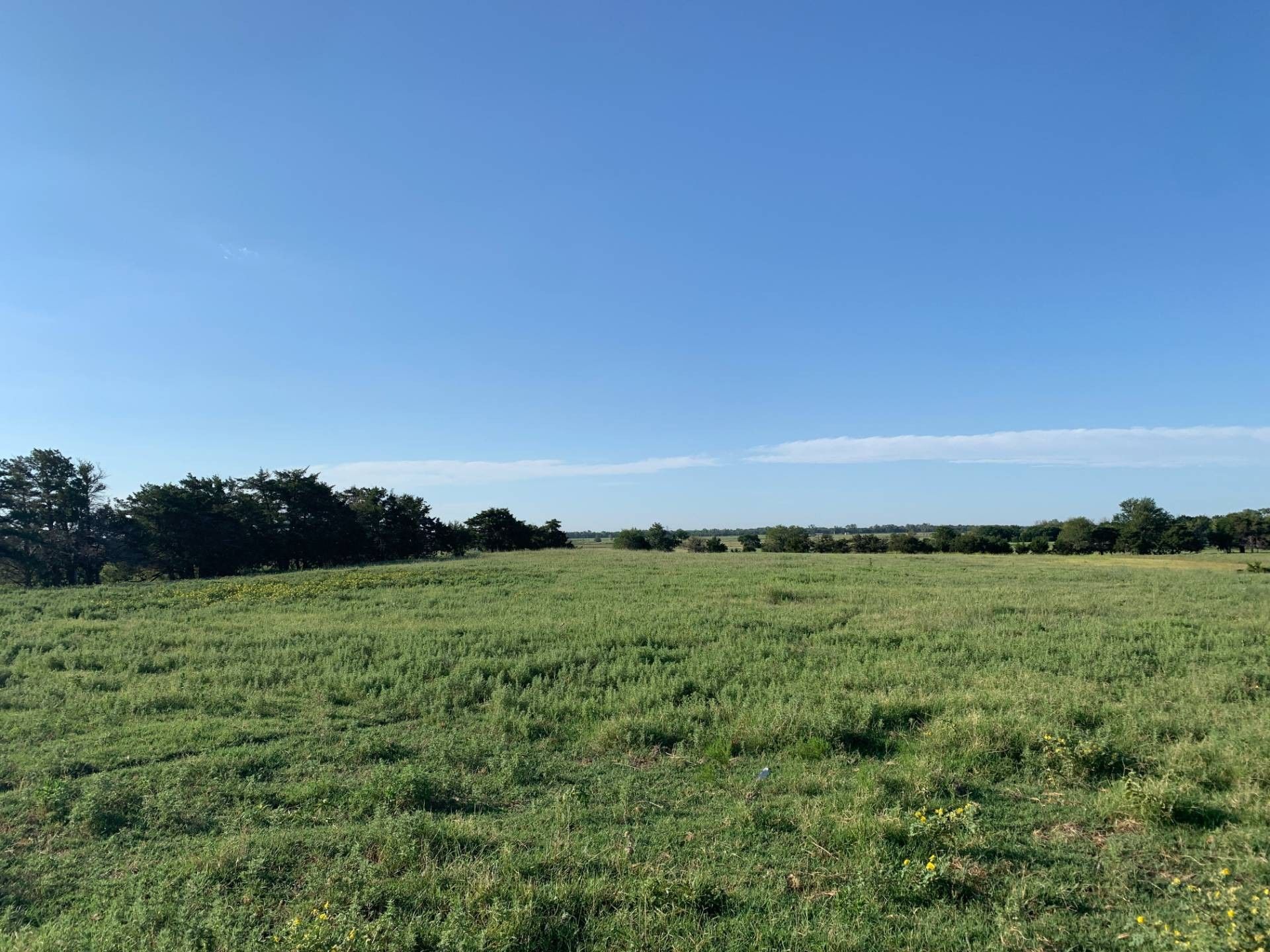 Aline, Alfalfa County, OK Undeveloped Land for sale Property ID 414617131 LandWatch