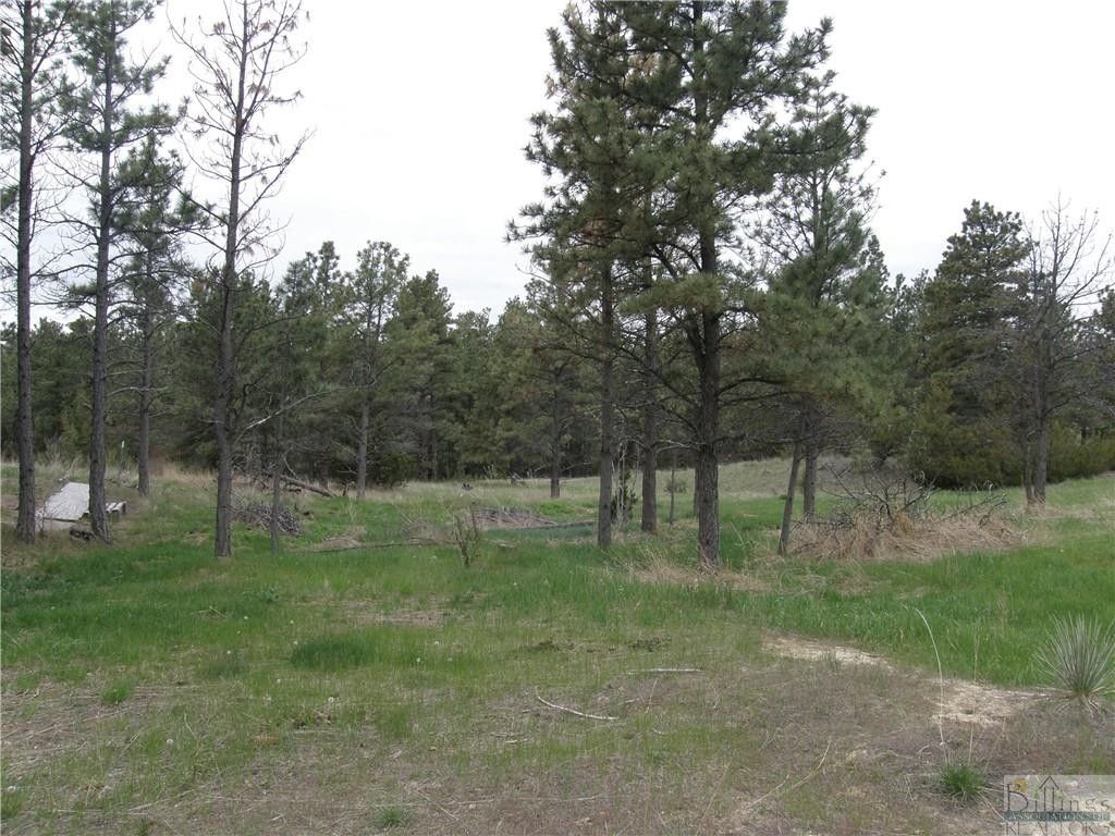 Roundup, Musselshell County, MT Undeveloped Land for sale Property ID
