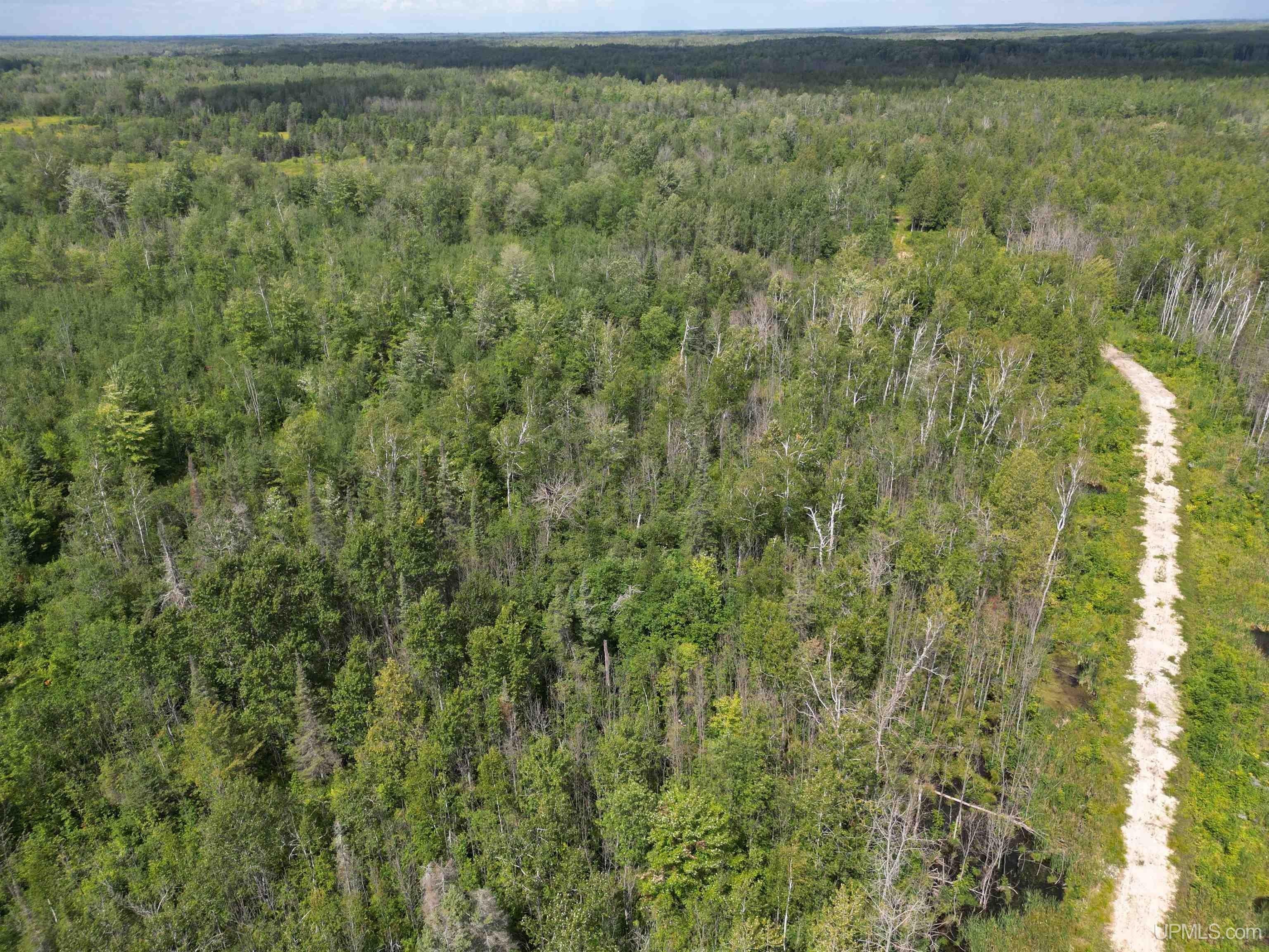 Rock, Delta County, MI Undeveloped Land for sale Property ID 414519650