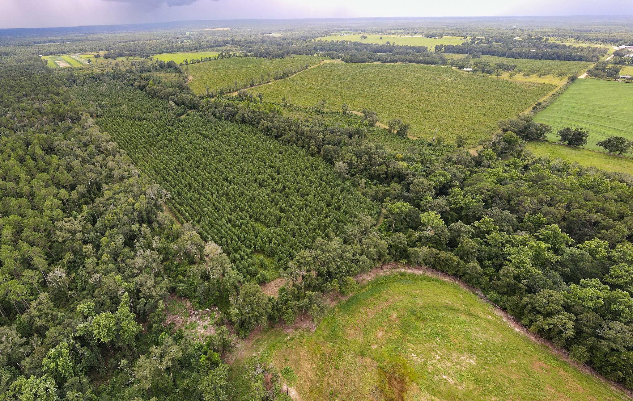 Graceville, Holmes County, FL Recreational Property, Hunting Property, House for sale Property