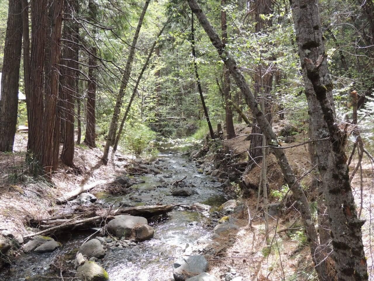 Cromberg, Plumas County, CA Recreational Property for sale Property ID