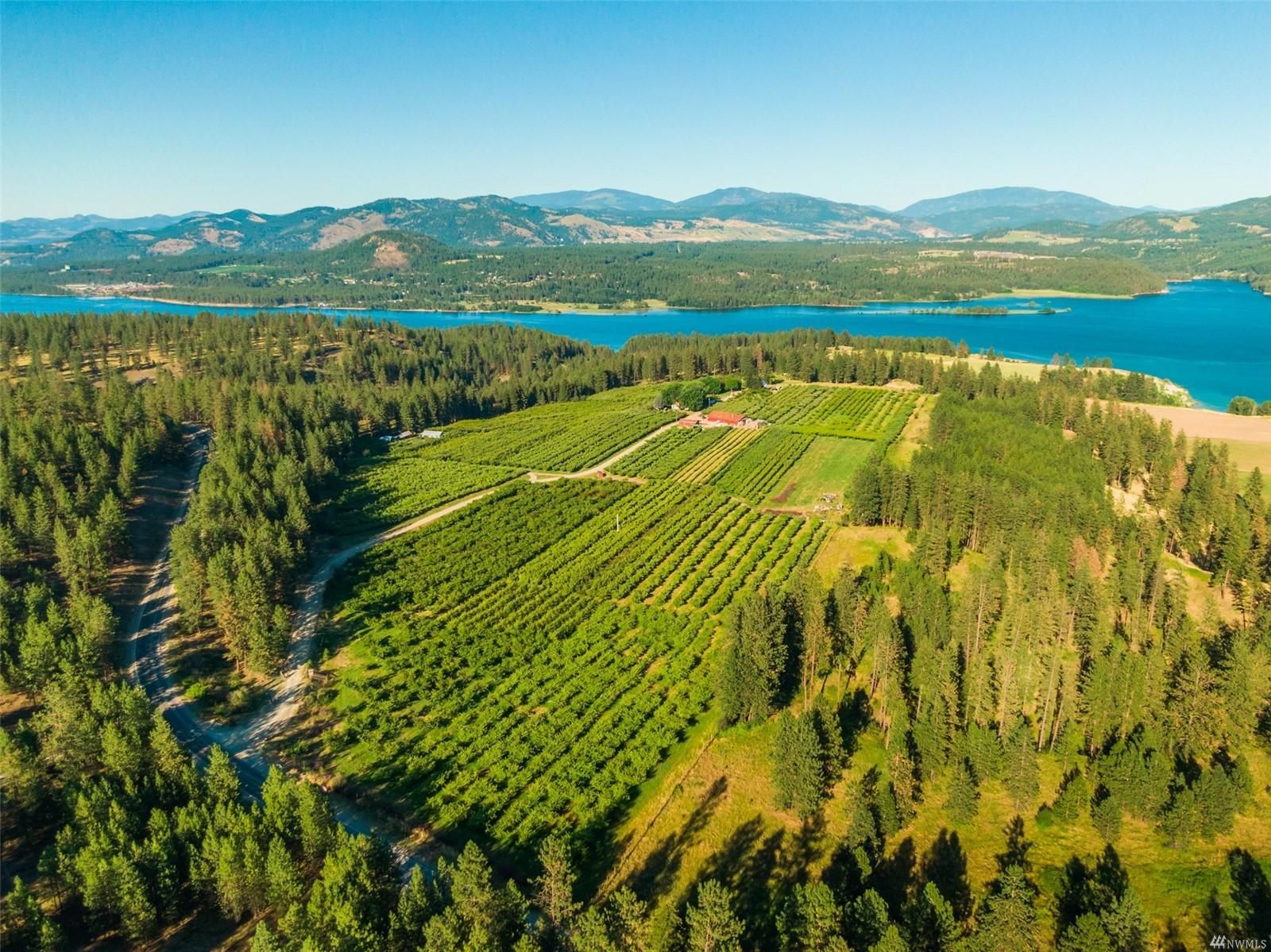 32 Apple Tree Drive, Kettle Falls, WA 99141 MLS 1985343 LandWatch