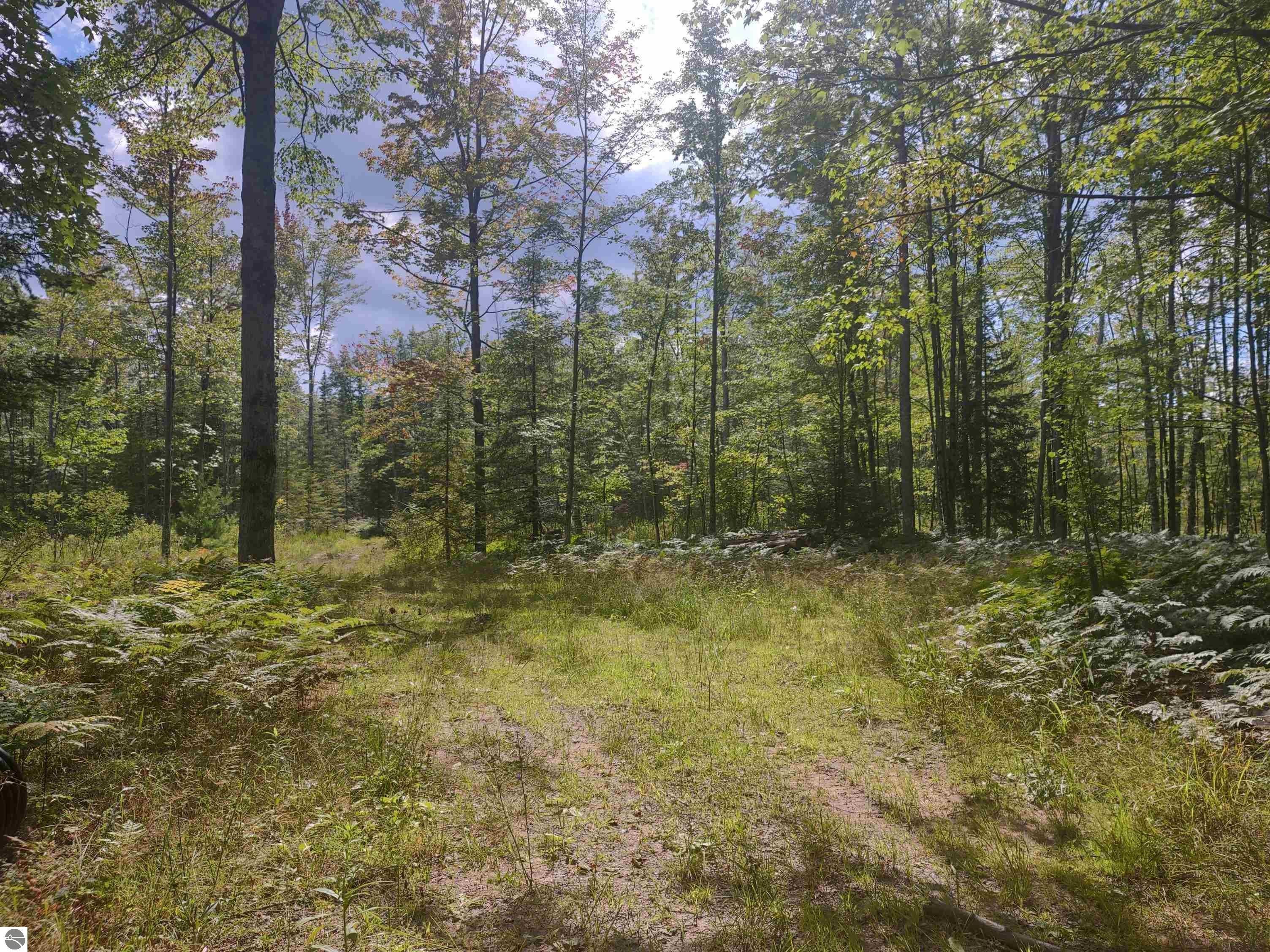 Twining, Arenac County, MI Undeveloped Land, Lakefront Property