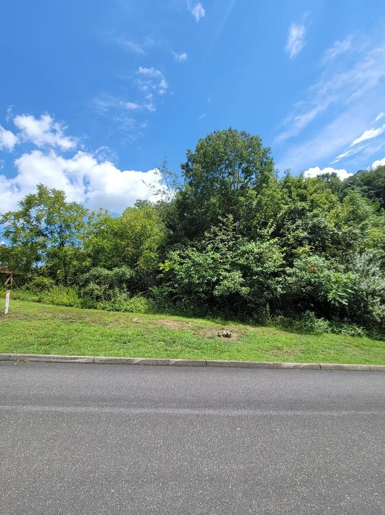 Sevierville, Sevier County, TN Undeveloped Land for sale Property ID
