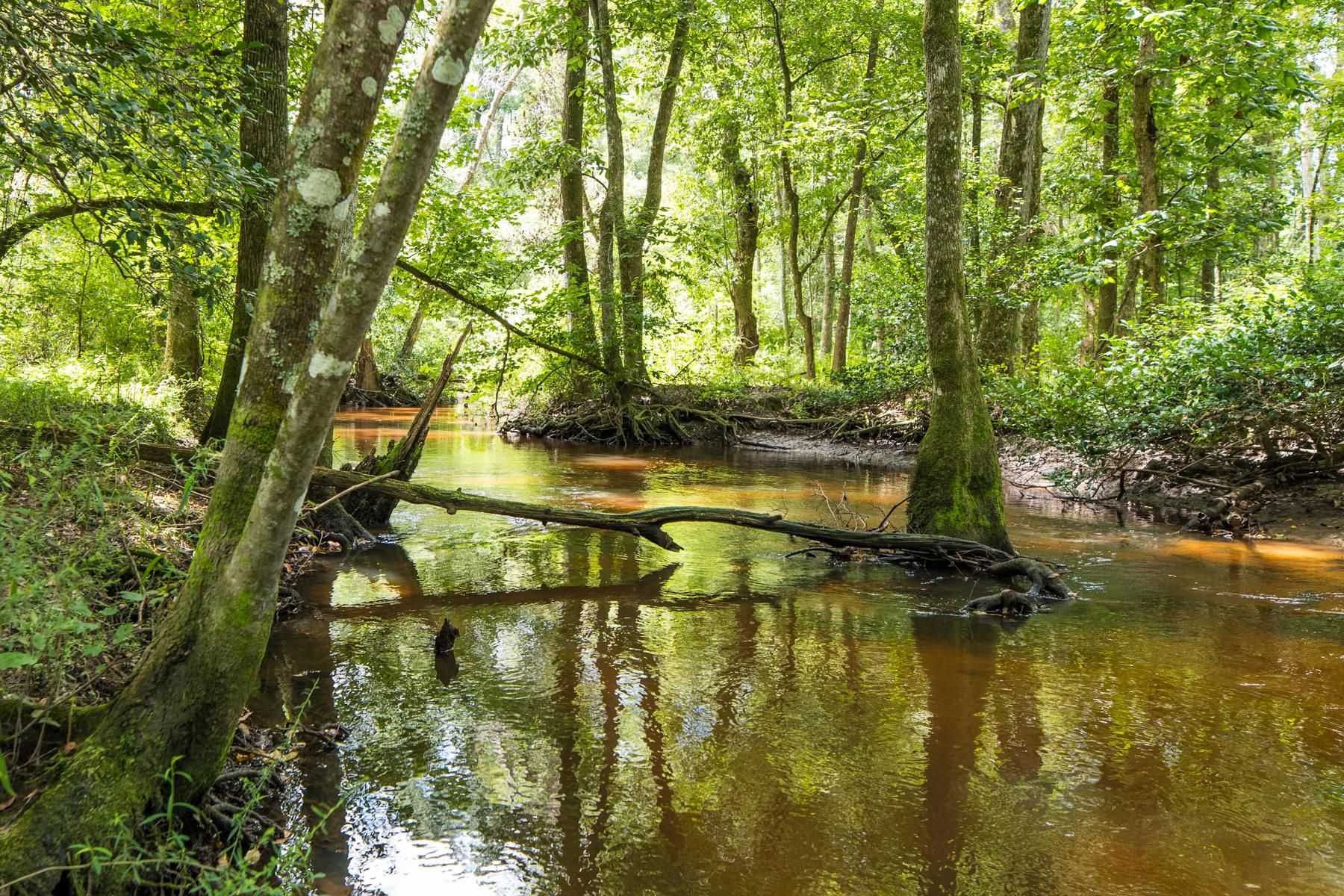 Climax, Decatur County, GA Recreational Property, Hunting Property