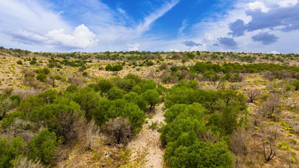 Ozona, Crockett County, TX Farms and Ranches for sale Property ID