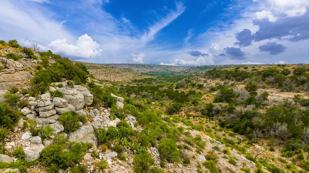 Ozona, Crockett County, TX Farms and Ranches for sale Property ID