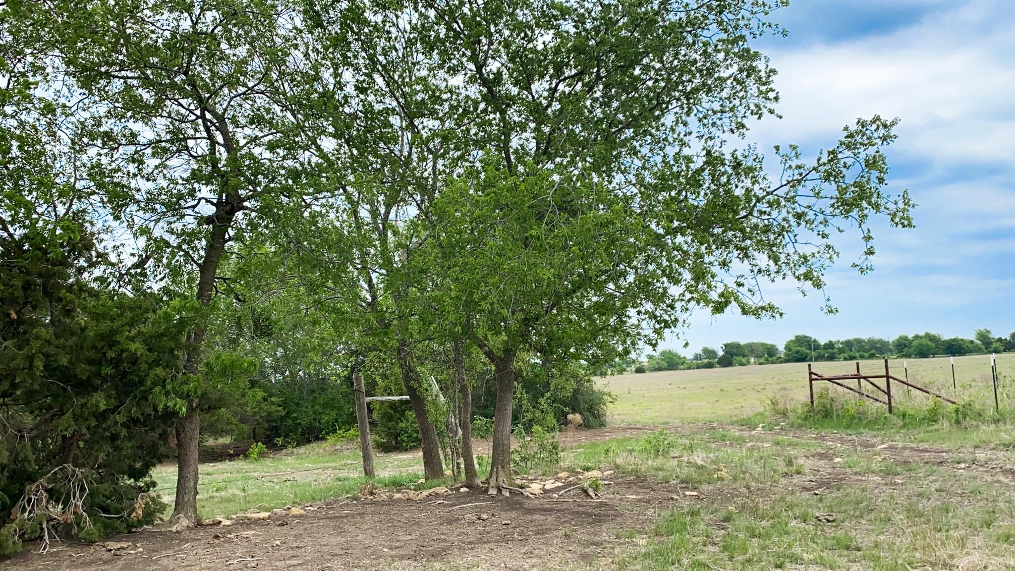 Gatesville, Coryell County, TX Recreational Property, Undeveloped Land