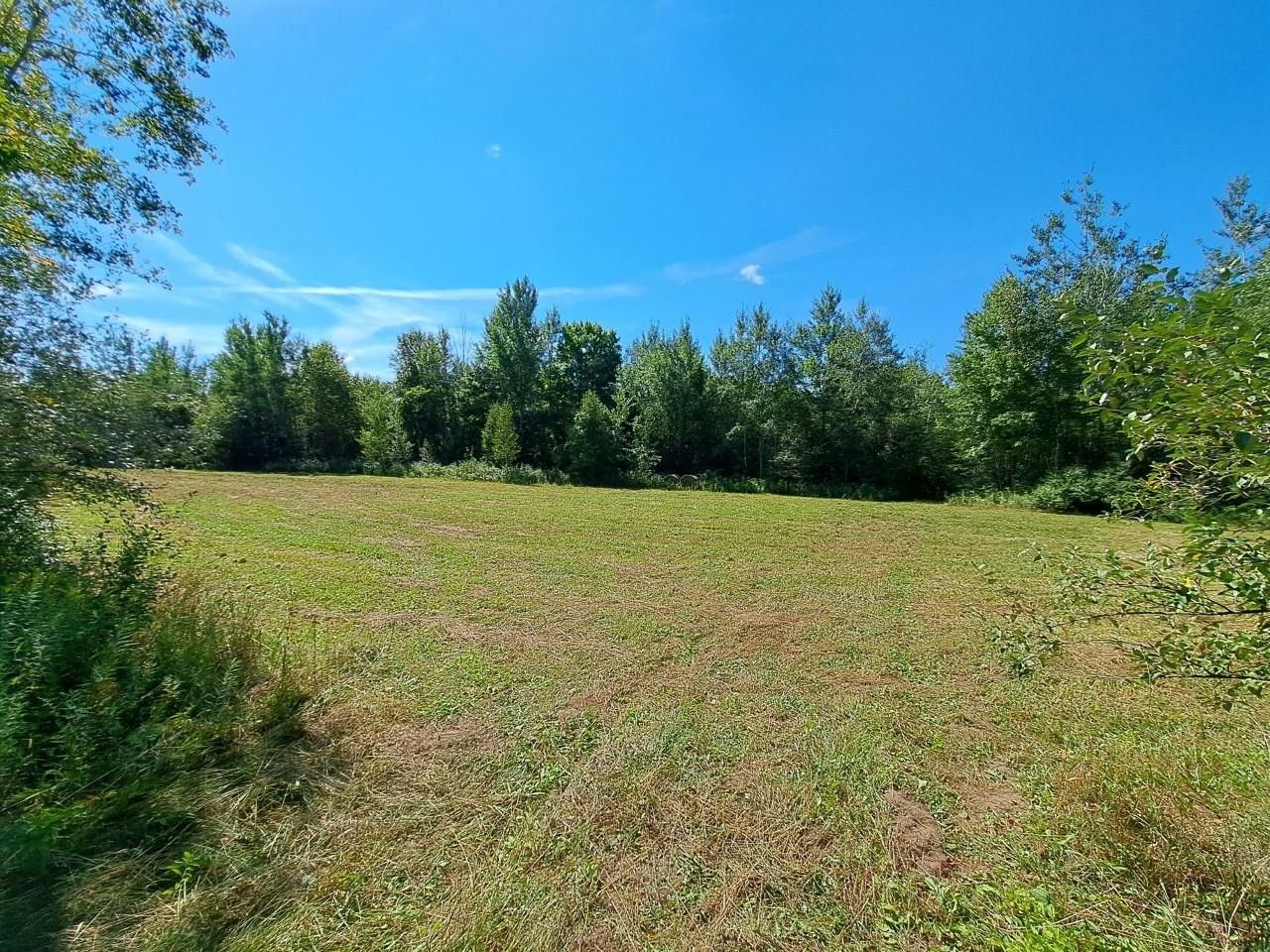 Clare, Clare County, MI Undeveloped Land for sale Property ID