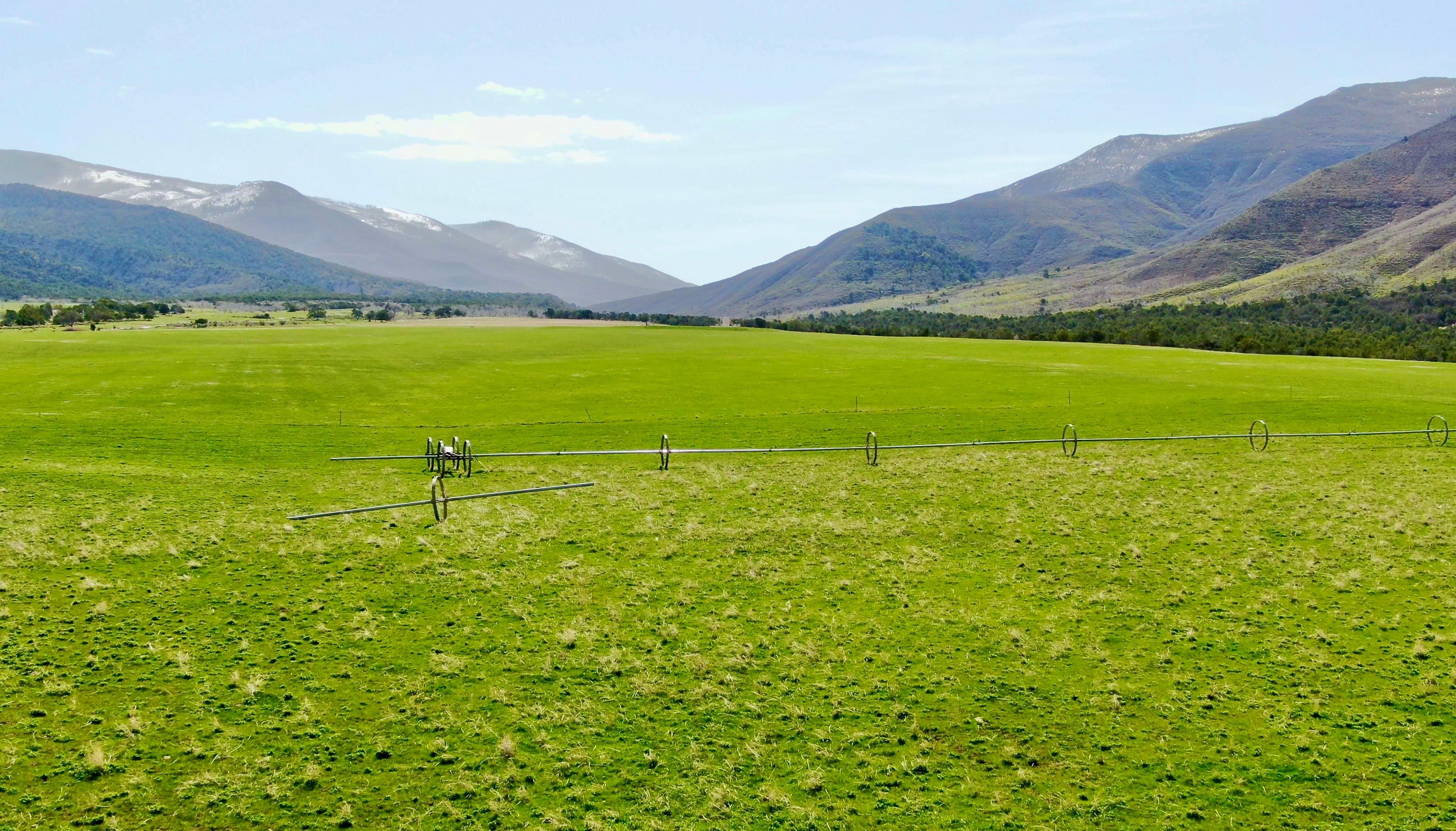 Parachute, Mesa County, CO Farms and Ranches, Recreational Property