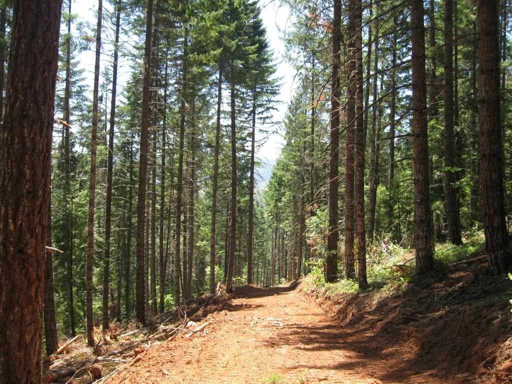 Tenmile, Douglas County, OR Recreational Property, Timberland Property