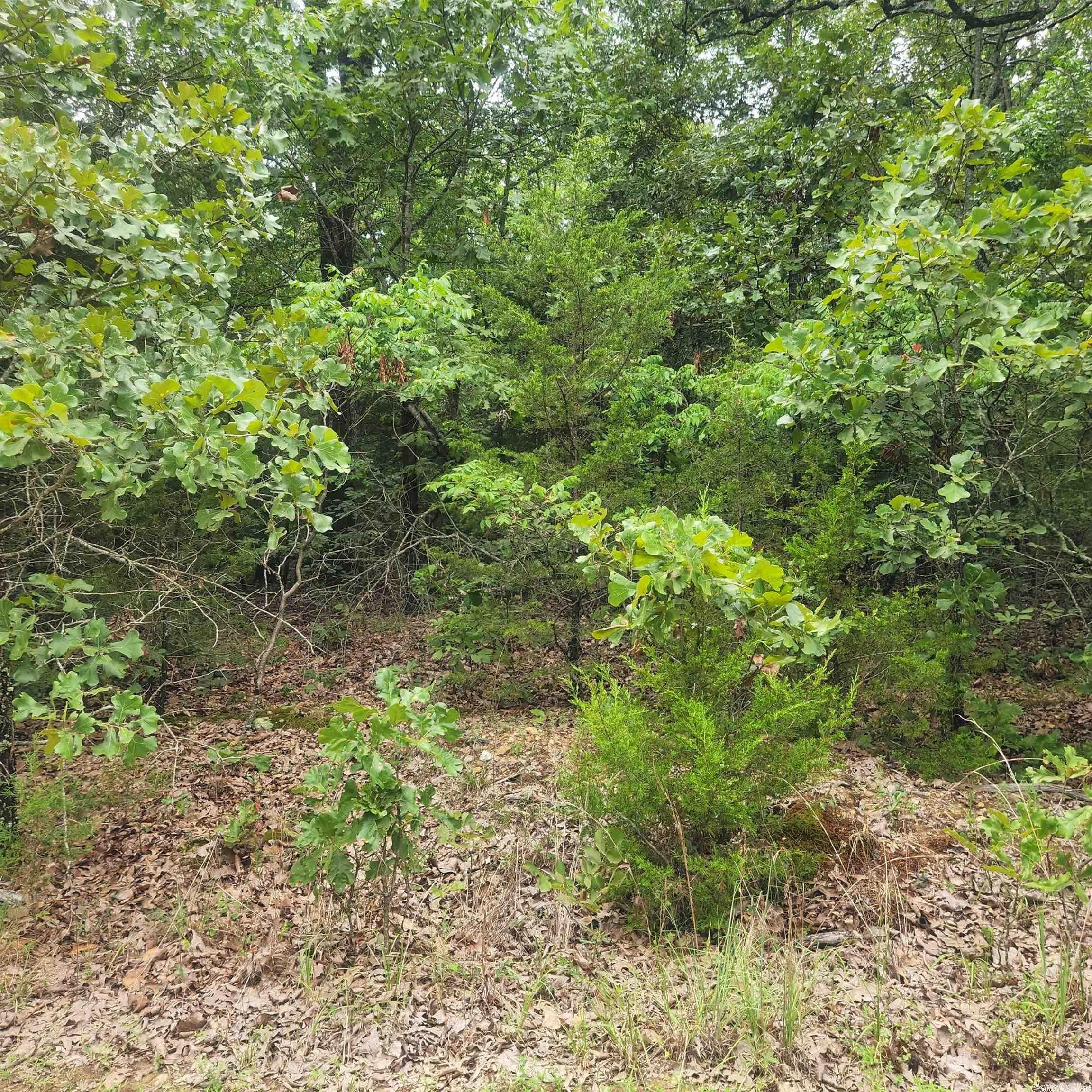 Glencoe, Fulton County, AR Farms and Ranches, Homesites for sale