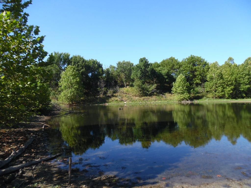 Fredonia, Wilson County, KS Farms and Ranches, Hunting Property for sale Property ID 414624014