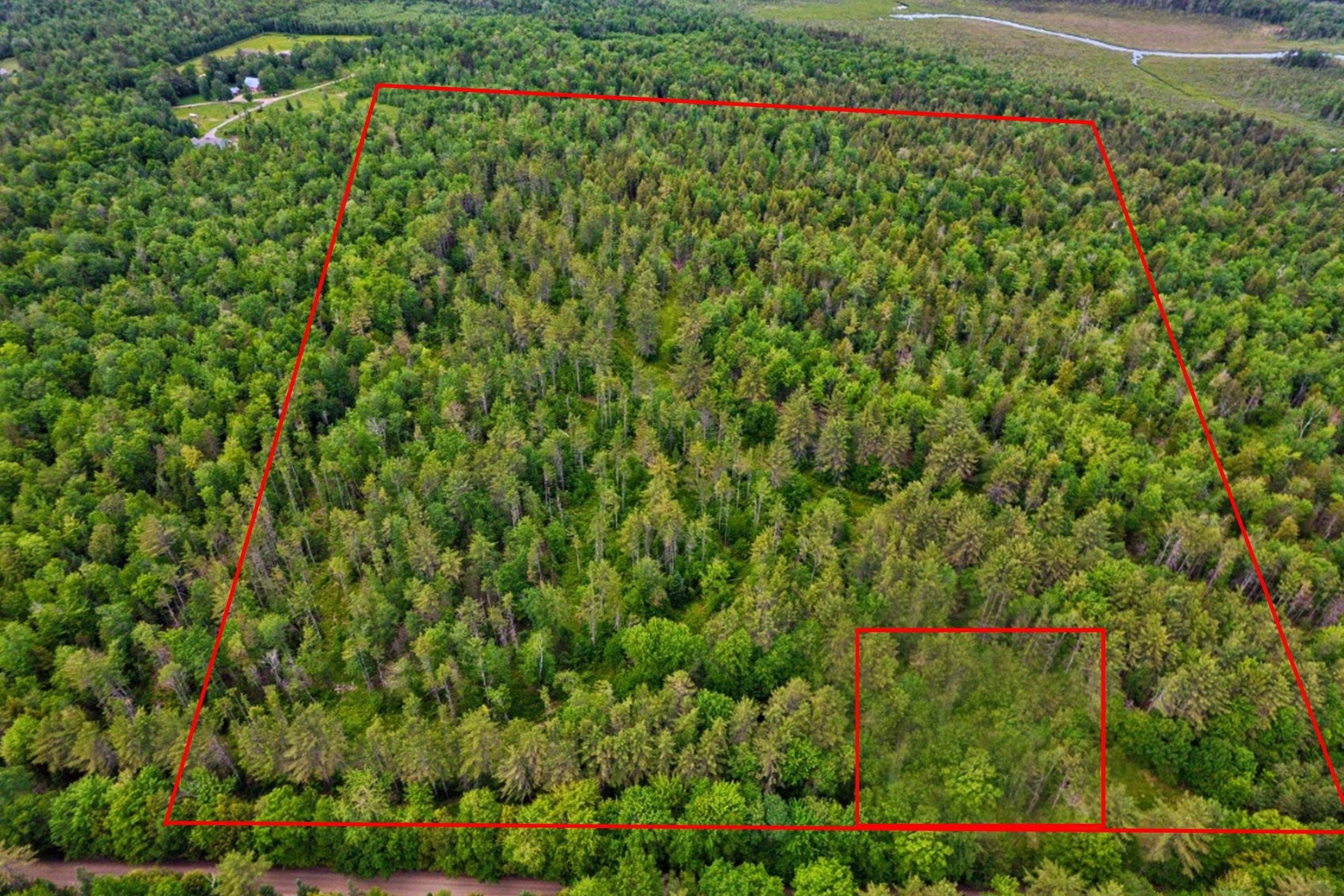 Campton, Grafton County, NH Undeveloped Land for sale Property ID