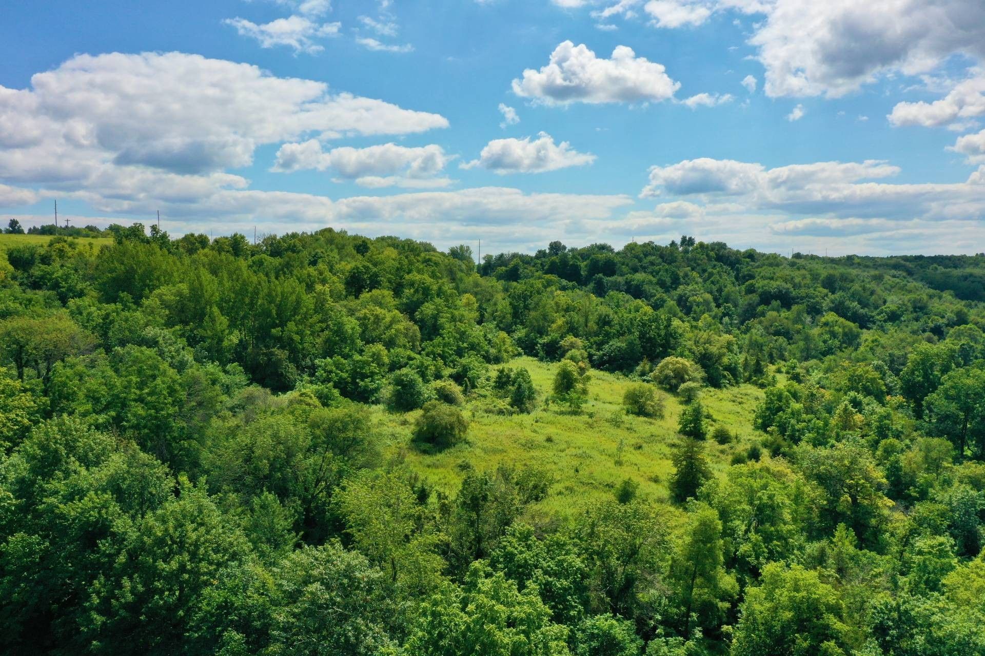 West Union, Fayette County, IA Undeveloped Land for sale Property ID