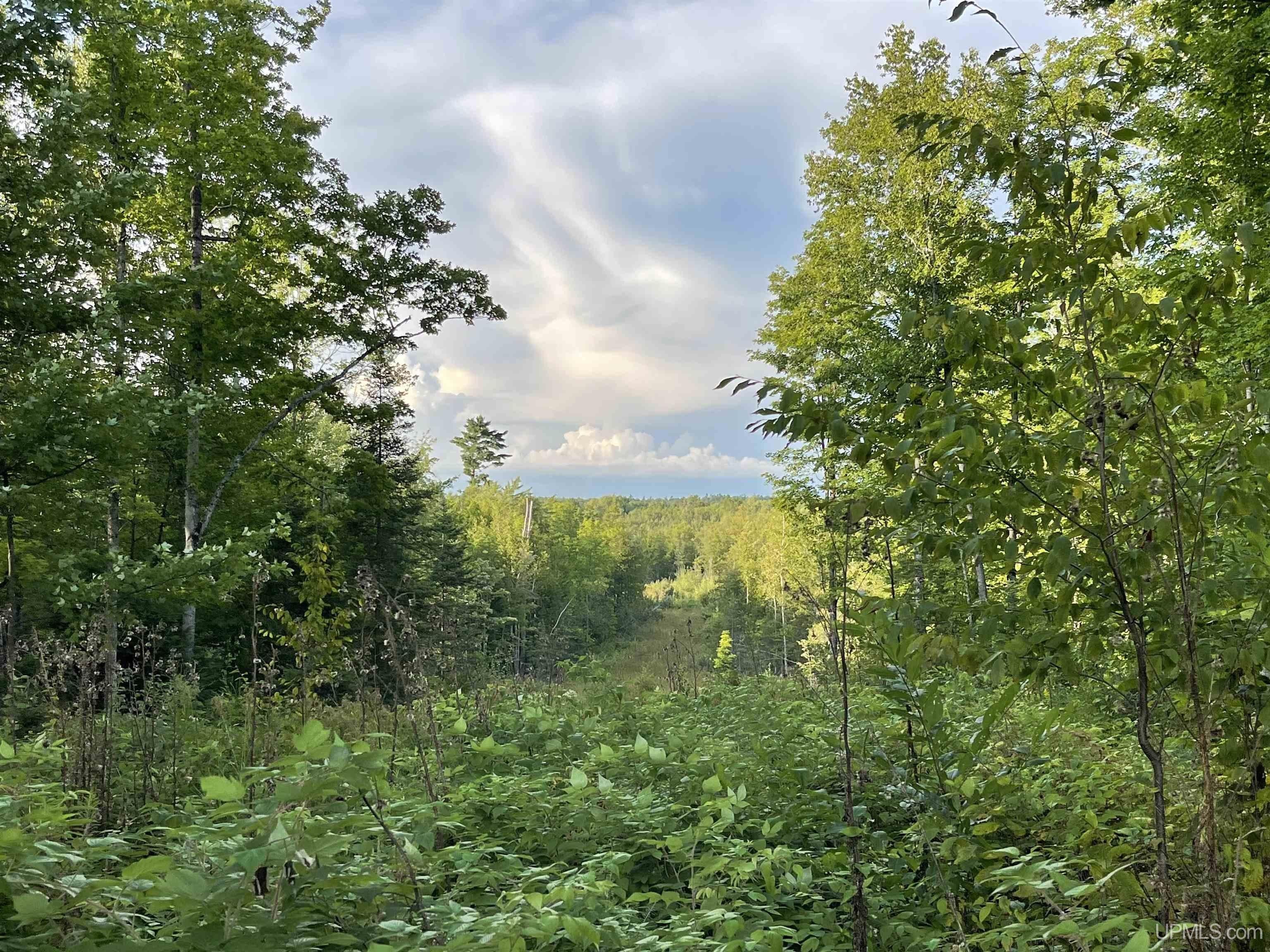 Crystal Falls, Iron County, MI Undeveloped Land for sale Property ID