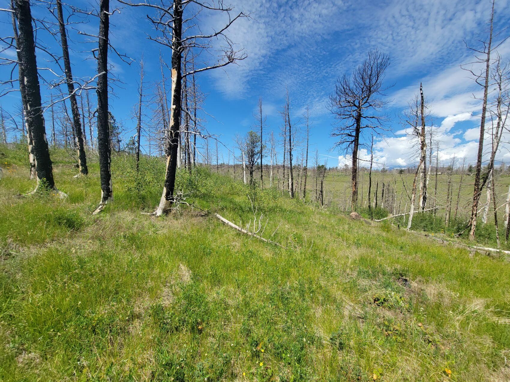 Fort Garland, Costilla County, CO Recreational Property, Hunting