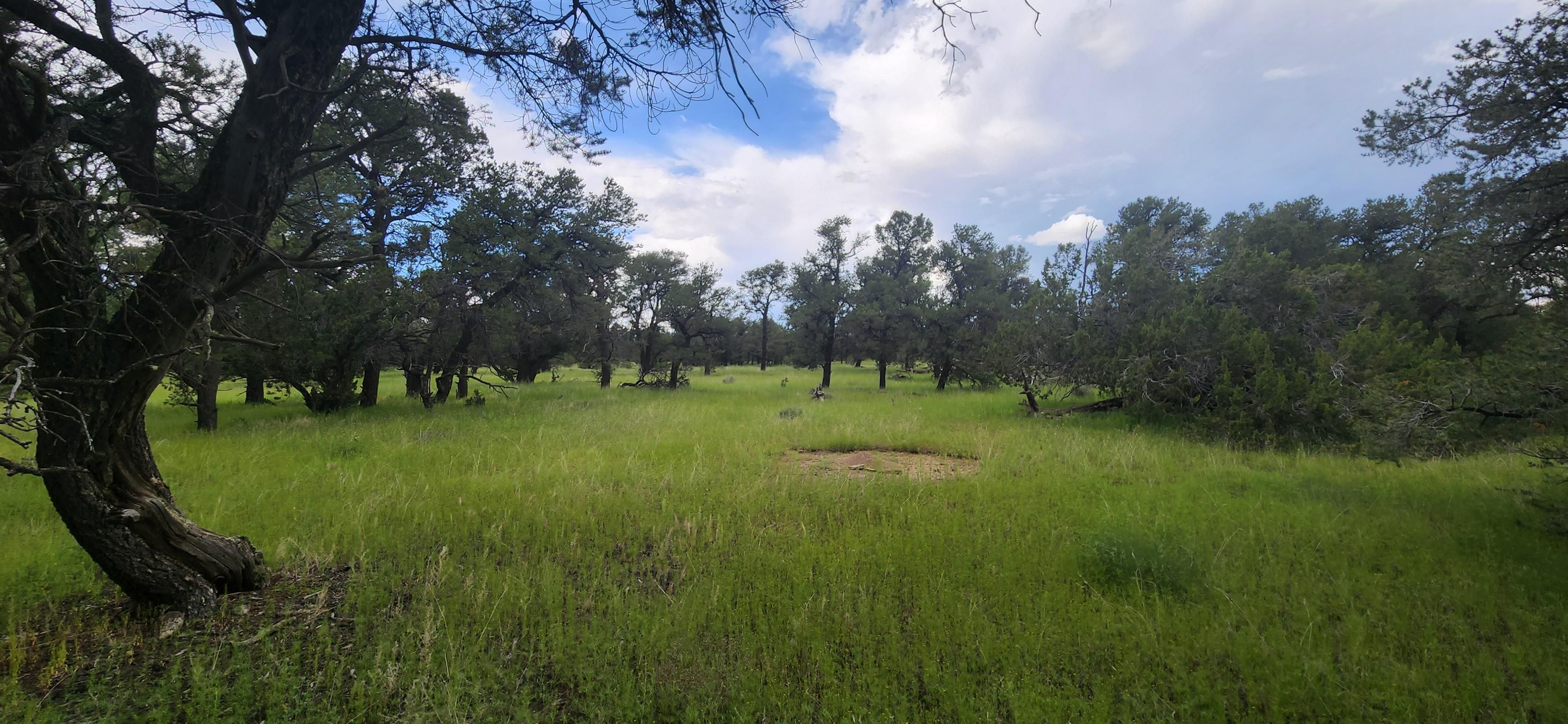 Datil, Catron County, NM Farms and Ranches, Recreational Property
