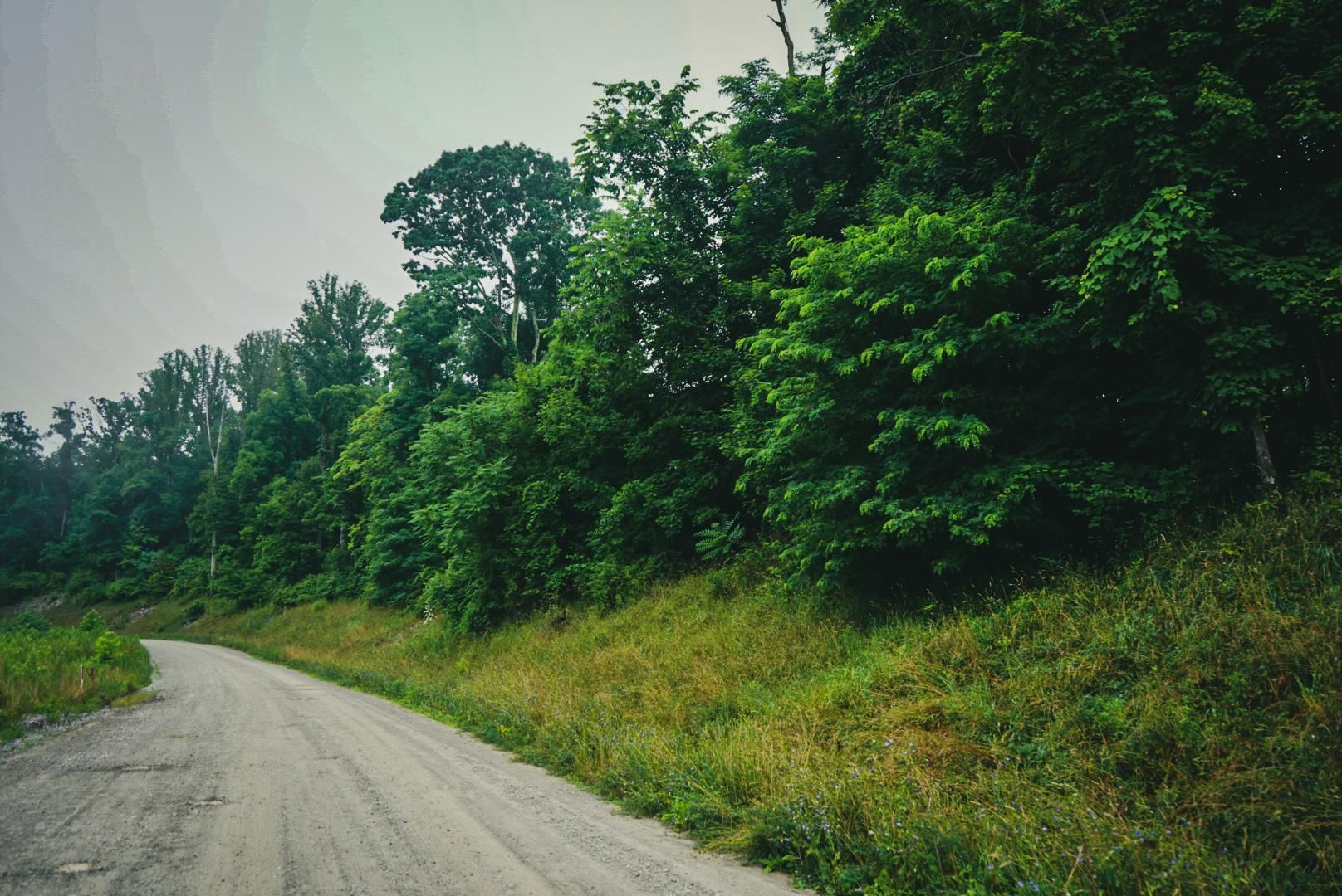 Mannington, Marion County, WV Recreational Property, Timberland