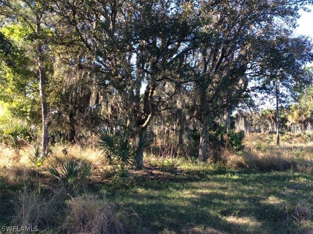 Clewiston, Hendry County, FL Undeveloped Land, Lakefront Property