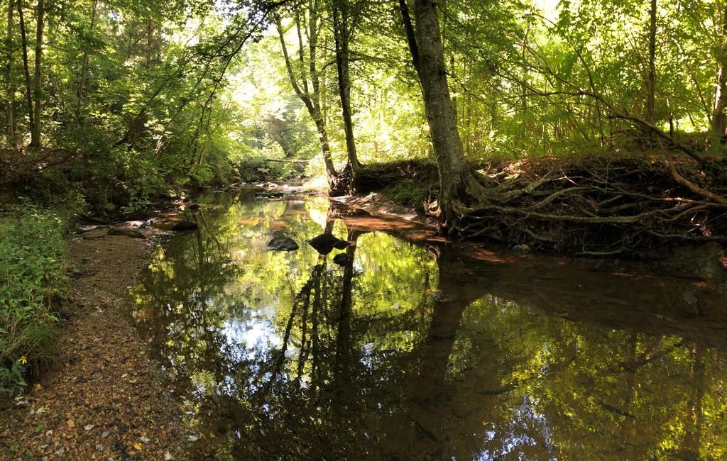 Keysville, Lunenburg County, VA Undeveloped Land, Lakefront Property