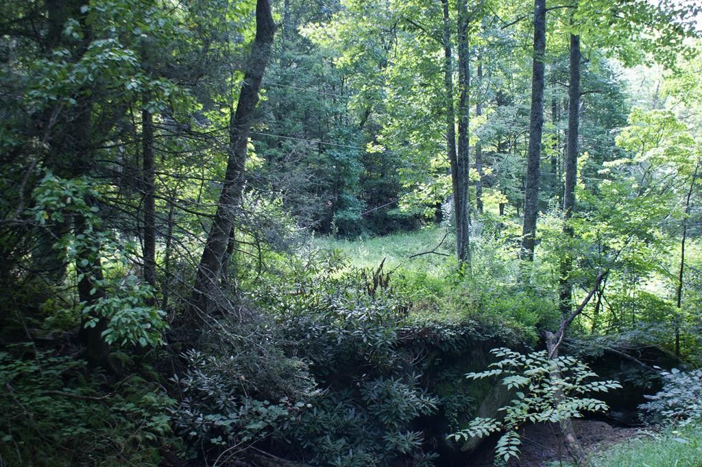 Independence, Grayson County, VA Farms and Ranches, Lakefront Property