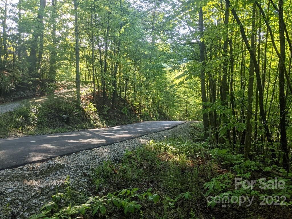 Old Fort, McDowell County, NC Undeveloped Land, Lakefront Property, Waterfront Property for sale