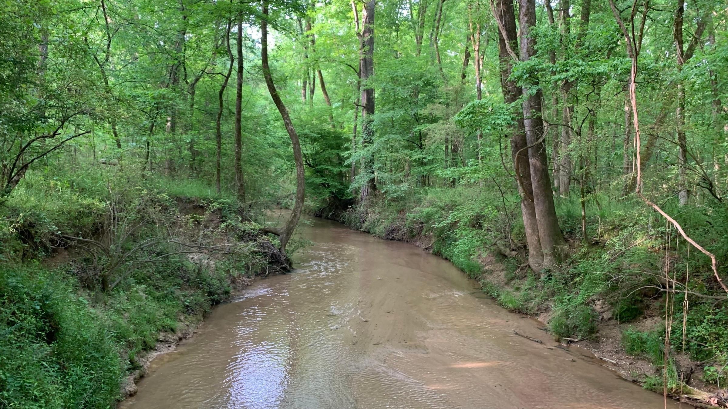 Elberton, Elbert County, GA Recreational Property, Timberland Property