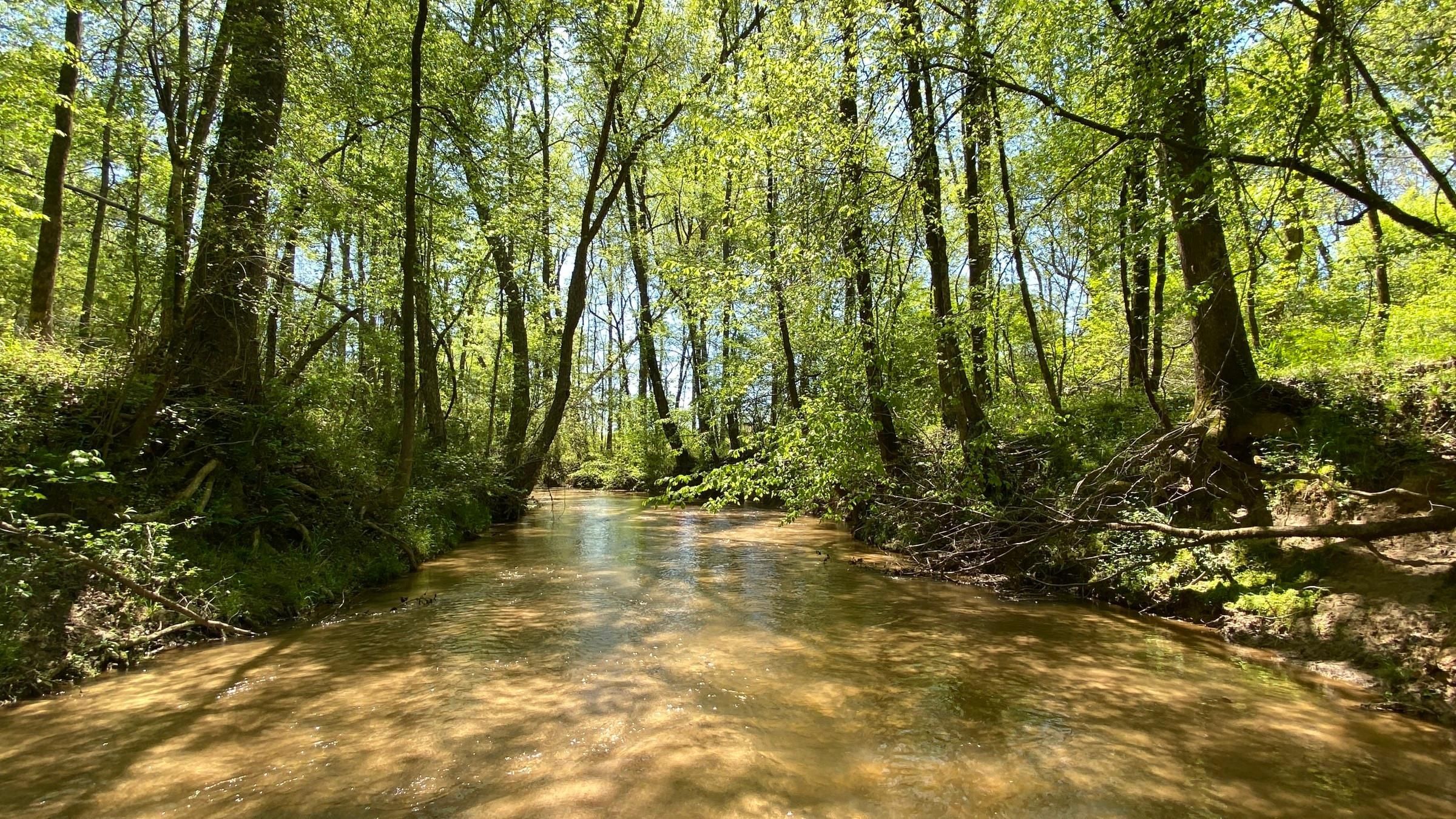 Elberton, Elbert County, GA Recreational Property, Timberland Property