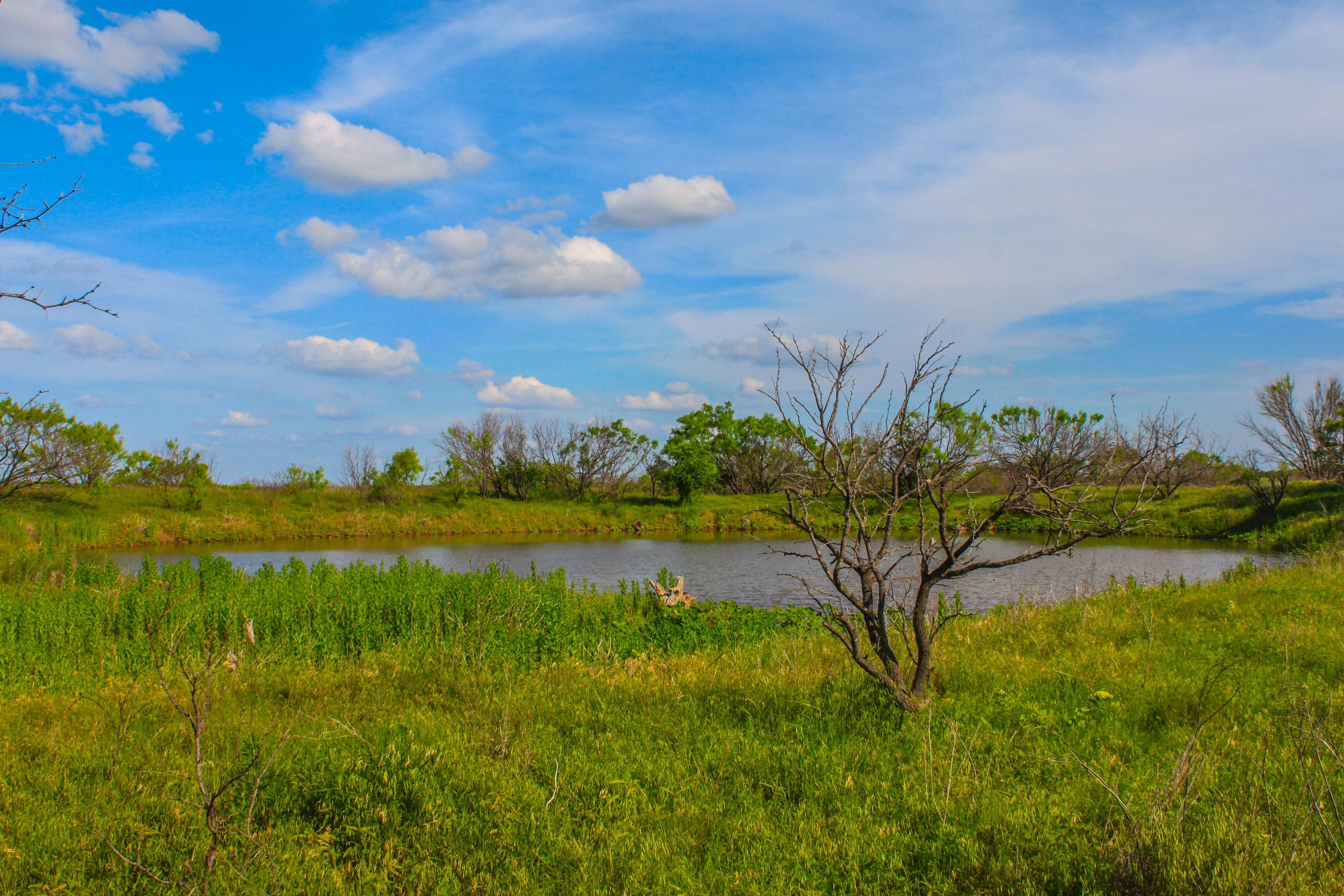 Woodson, Throckmorton County, TX Farms and Ranches, Recreational
