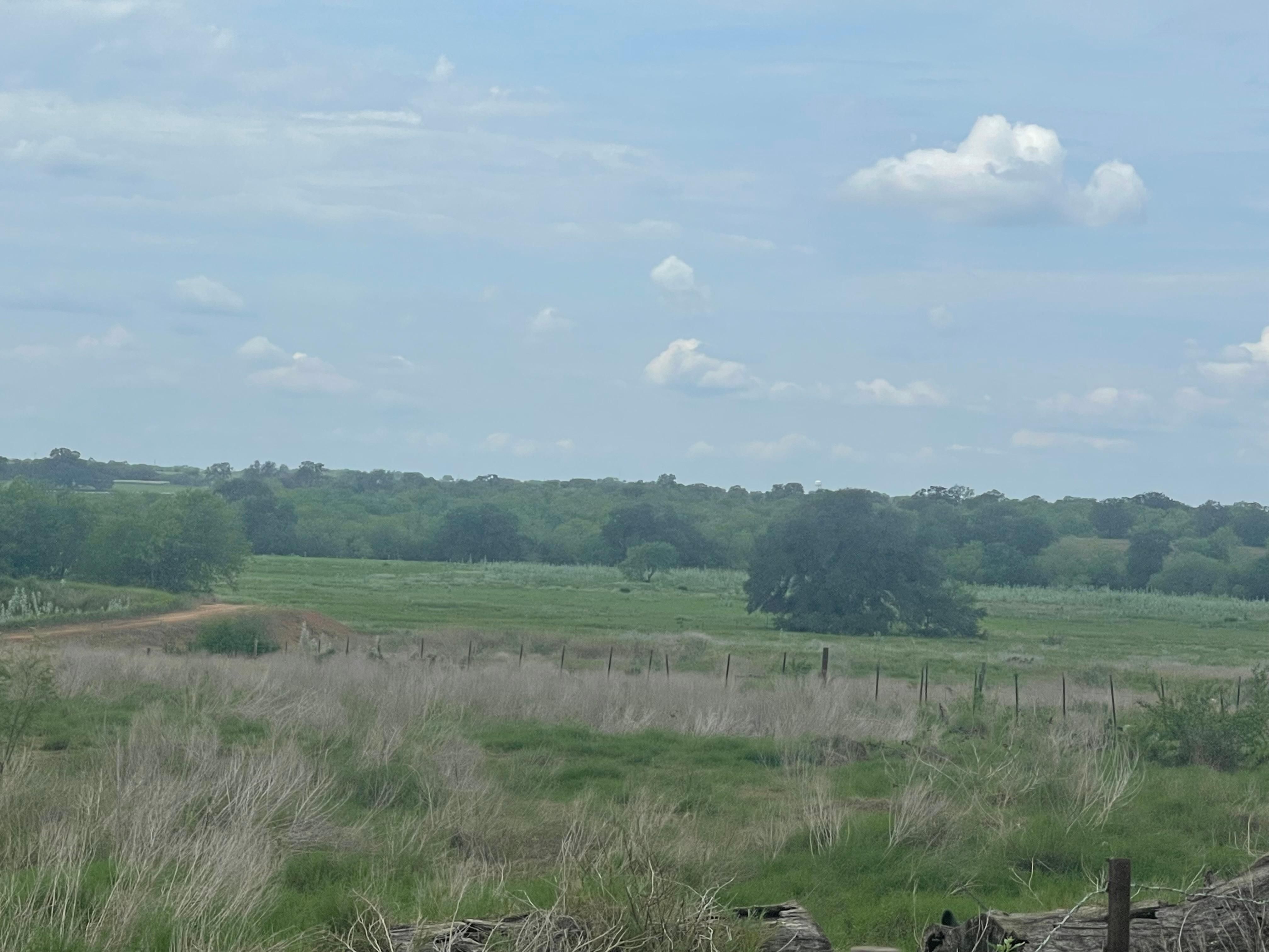 Floresville, Wilson County, TX Farms and Ranches, Horse Property for